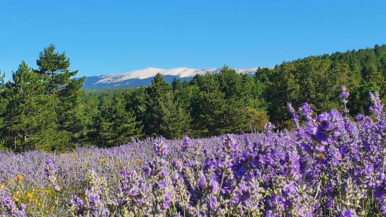 A Ventoux Yourte Monieux Exterior photo